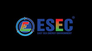 ESEC Year End Party 2020