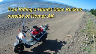 Trail Riding a 50cc Honda Ruckus outside of Homer AK