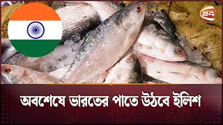 দুর্গাপূজায় ভারতে যাচ্ছে ৩ হাজার টন ইলিশ | Bangladesh approves 3000 tonnes of hilsa export to India