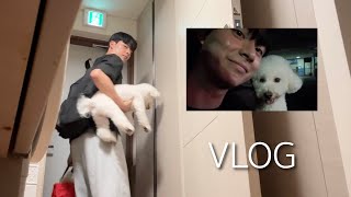 정말로 야반도주, 30살에 첫 자취(VLOG)