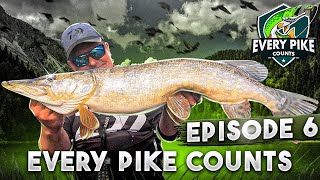 EVERY PIKE COUNTS 2023 with Happy Angler | Episode 6 [ENG SUB]