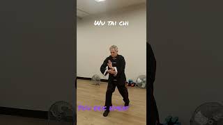 The best Martial Arts is Wu Tai Chi. #shorts #kungfu #training  #taichi  #mma