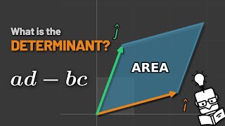 What the Determinant Actually Measures