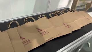 Paper Bag Digital Printing Machine/ small quantity print/ customized design / Print bag to bag