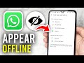 How To Appear As Offline In WhatsApp - Full Guide