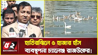 হাতিরঝিলে ৫ হাজার হাঁস অবমুক্ত, ব্যবস্থাপনা চ্যালেঞ্জ রাজউকের | 5 thousand ducks in Hatirjheel