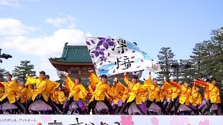 大阪教育大学YOSAKOIソーランサークル凜憧　京都さくらよさこい2017 神宮道１日目（広角）