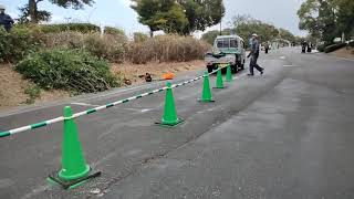 りんぐの今日の葛西臨海公園の大観覧車と水仙【2025.2.16】