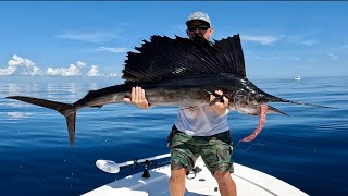 Fishing By Myself Went Bad Wrong! (Sailfish Catch Clean & Cook)