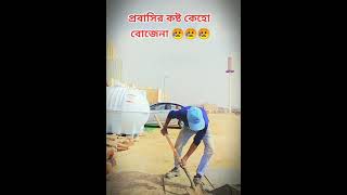 হায়রে প্রবাস জীবন কত কঠিন #probashi_news #shorts #ytshorts #viral #saudiarabia #kosto #প্রবাসী