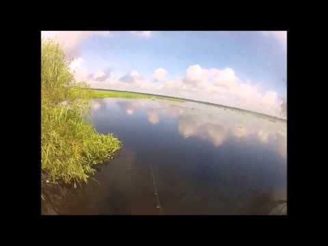 freshwater fishing 7 21 15 freshwater fishing 7 21 15