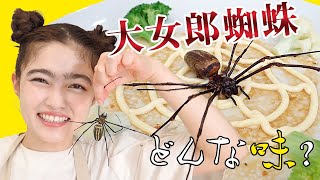 The Taste of Golden Orb Spiders - The Largest Spider in Japan 