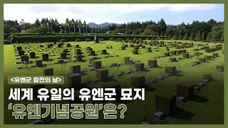 [유엔군 참전의 날] 세계 유일의 유엔군 묘지‘유엔기념공원’은?