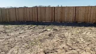 Backyard sprinklers, grading and sod installation.