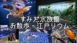 【すごい!】日本最大級の金魚展示・江戸リウムで極上金魚たちと出会った。｜Aquarium Walk