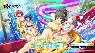 【ドルフィンウェーブ】第2弾閃乱カグラコラボガチャ 80連　飛鳥＆雪泉を引き当てたい！