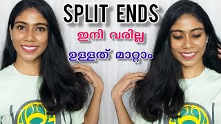 🌸How to get rid of split ends easily? വന്നാൽ മുടി ഒരിക്കലും വളരില്ലേ?🥺 Personal tips