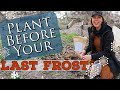 What, How & Why to Plant Before Your Last Spring Frost