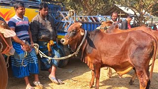 @আজ ১৯ ডিসেম্বর\