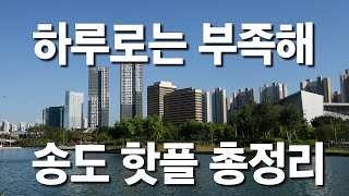 여전히 반짝거리는 송도국제도시 핫플 총정리 - 인천인  이혜진핫플