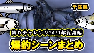 【爆釣シーン　千葉県木更津港、保田漁港、内房堤防】釣りチャレンジ2021年総集編 マイワシ、マアジ、イシモチ　サビキ釣り、うきフカセ釣り、ちょい投げ青イソメ・パワーイソメ