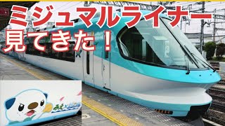 【ミジュマルライナー】ようやく見れました！近鉄特急をジャックしたポケモン列車を見送りました！