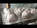 over 50 years giant chewy crystal dumplings