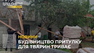 Поблизу Львова триває будівництво притулку для тварин, які залишилися без господарів