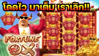 DG1688G สล็อตpg เกมส์ Fortune Ox(วัวนรก) : มาไวไปไว!!