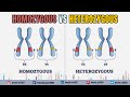 Homozygous vs. Heterozygous: Differences and Examples - Difference Between