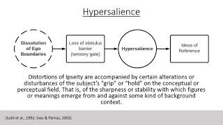 2.2 - Psychosis - Psychoanalytic Perspective