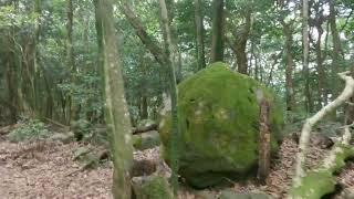 鹿児島県鹿児島市花尾町入来峠　八重山登山