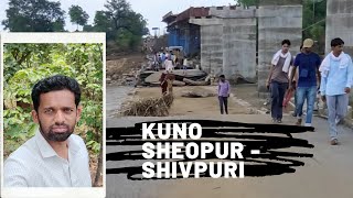 श्योपुर और शिवपुरी के बीच रास्ते बना कूनो का पुल बाड़ में तबाह हुआ | kuno overflow | sheopur flood |