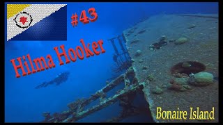 Hilma Hooker Dive Site #43 Bonaire Island