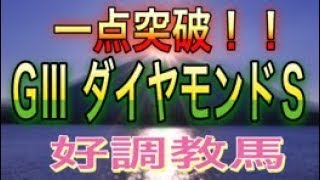 【競馬】　ダイヤモンドＳ2020 追い切り評価〜予想　厳選1頭！！