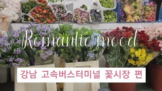 고터 꽃시장#플로리스트#브이로그#florist#플라워레슨#강남고속버스터미널꽃시장 편.