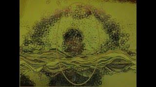 Processing Webcam Demo