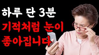 전 세계를 발칵 뒤집은 기적의 눈 건강법 l 3분만 바라보면 눈이 좋아진다 l 노안으로 잃어버린 시력 되찾기 l 황반변성 시력 좋아지는 법