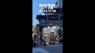 横浜中華街    山下公園　  2023年11月16日