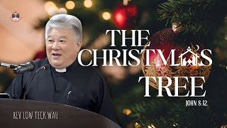 The Christmas Tree | John 8:12-38 | 22nd December 2024