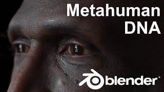 Customize Metahumans in Blender with DNA Addon