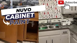 Nuvo Cabinet Paint/ Kitchen DIY