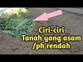 Ciri-ciri tanah yang asam/ph rendah