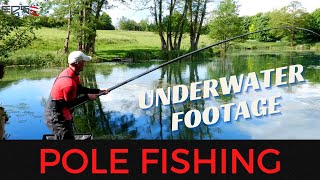 UNDERWATER FOOTAGE - MARGIN FISHING - ROB WOOTTON AND LEE KERRY - THE EDGE