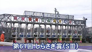 第６１回 しらさぎ賞(SⅢ)［地方交流］４上牝馬オープン［2023.4.26 浦和第11R/1400m ダート］