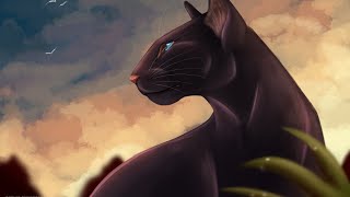 Top 15 Most Well Developed Toms in Warrior Cats