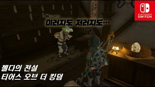 [Switch]젤다의 전설 티어스 오브 더 킹덤 : 미니 챌린지 - 이러지도 저러지도... (카카리코 마을)