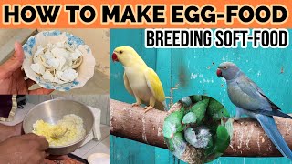 How to Make Egg Food For Your Parrots? |Best soft-food For Breeding|Tips \u0026 info By RDA 2023