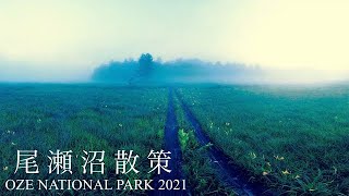 [4K]夏の尾瀬沼散策　1泊2日で尾瀬を巡る山歩き　Walking in Lake Ozenuma in Summer 2021 Japan