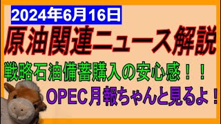 OPEC月報ちゃんと確認するよ！リグ稼働数が少なすぎ？ WTI原油先物価格見通し　2024年6月16日時点